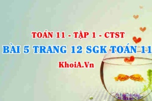 Bài 5 trang 12 SGK Toán 11 Tập 1 Chân trời sáng tạo